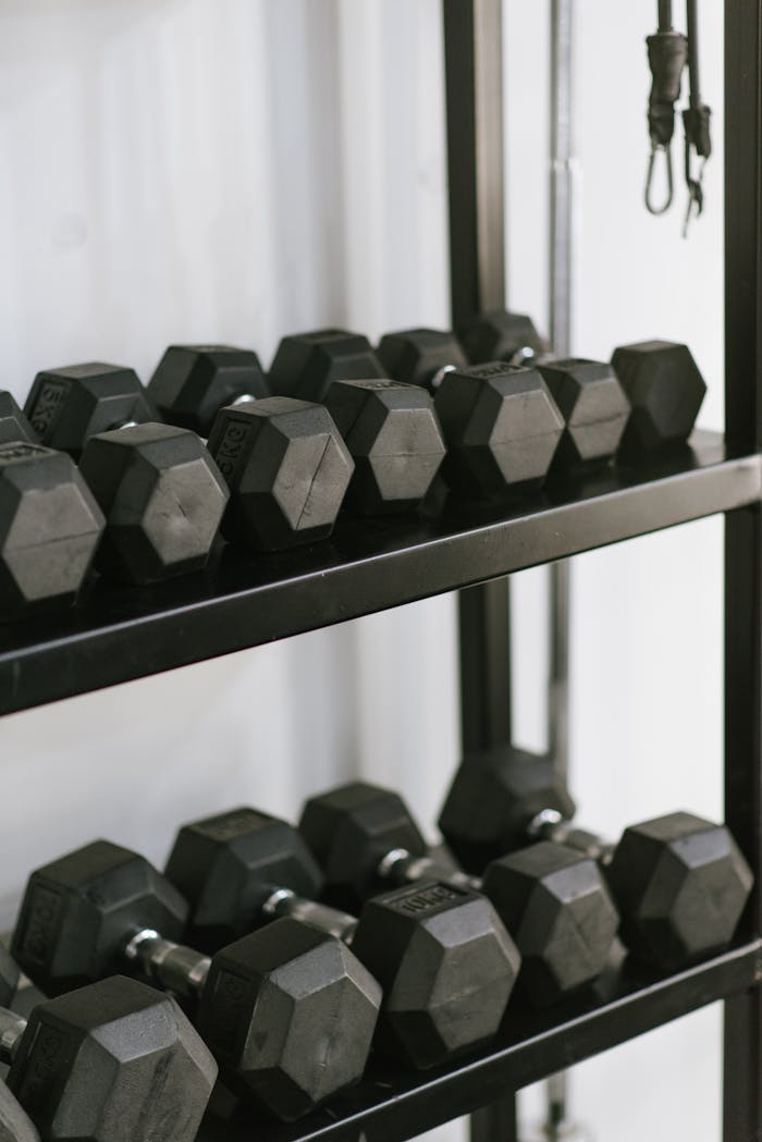 Home Organized hexagonal dumbbells stacked on a sturdy rack in a modern gym setting.